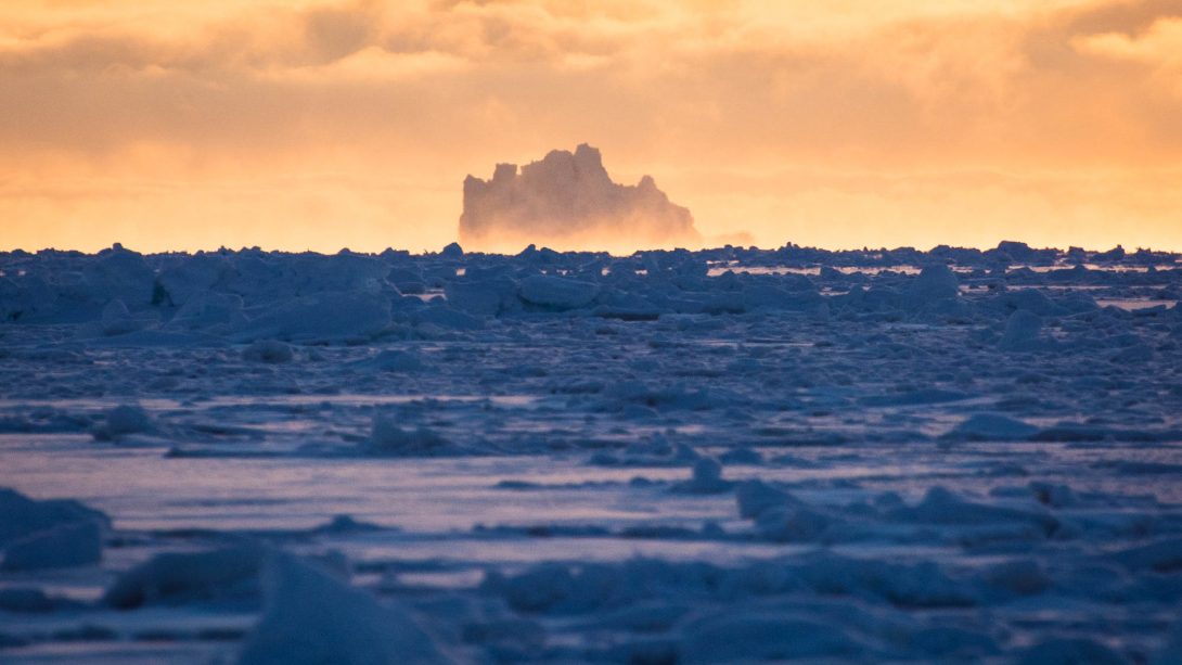Sea Ice Greenland: la web série